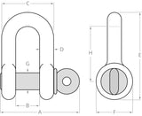 Shackle and Pin Assembly