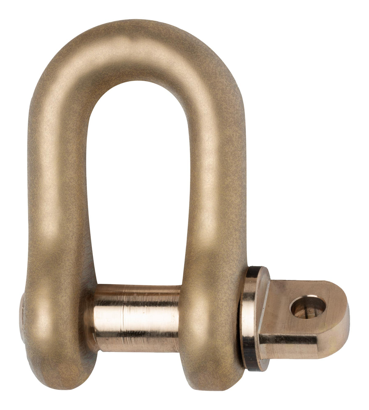 Shackle and Pin Assembly